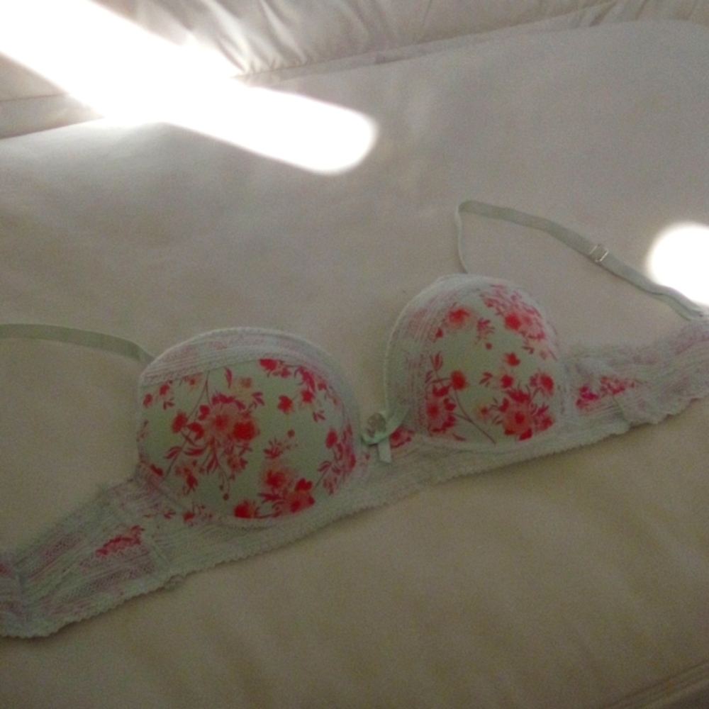 Teal push up bra 34B